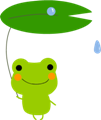 雨蛙s