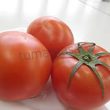 f-tomato160