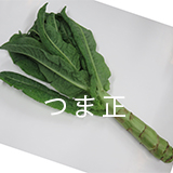 千社唐